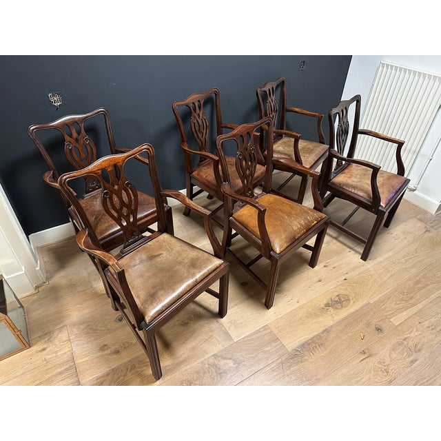Vintage Dining Chairs, 1890s, Set of 6 For Sale - Image 5 of 7