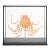 Deconstructed Spiny Spider Crab (Maja Brachydactyla) Specimen Under Glass Case For Sale