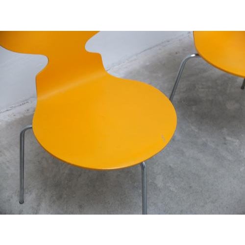 Wood Early Ant Chairs by Arne Jacobsen for Fritz Hansen, 1974, Set of 4 For Sale - Image 7 of 18