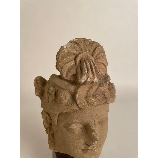 Gandharan Stucco Head of a Bodhisattva, 3rd-5th Century For Sale - Image 10 of 12