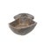 African Early 20th Century Dan Ceremonial Spoon Cote d'Ivoire For Sale - Image 3 of 7