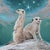 This artwork depicts two meerkats poised on a rocky outcrop, set against a vibrant, swirling background that hints at a...
