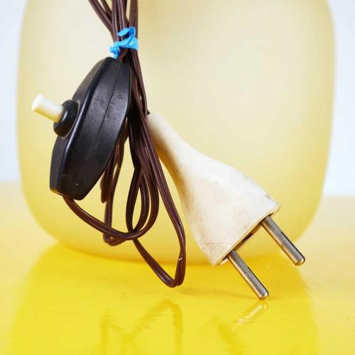 Vintage Frosted Glass Table Lamp Decorated with Leaves For Sale - Image 5 of 10