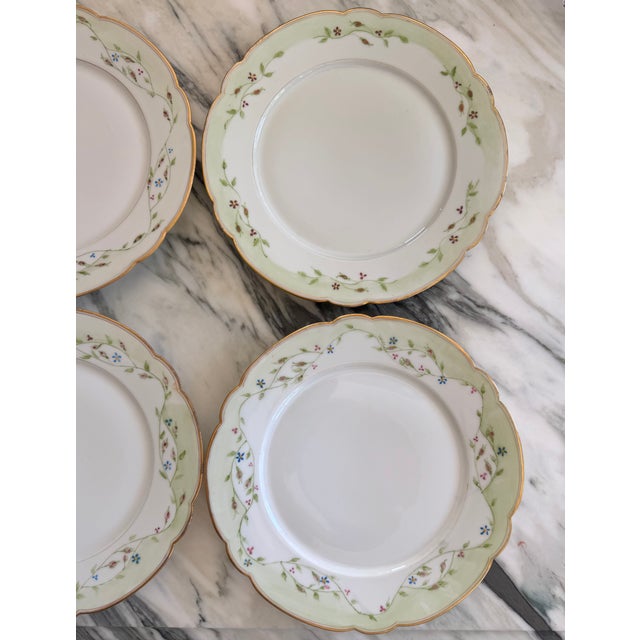Antique Ginori Made in Italy Gold Gilt Hand Painted Plates - Set of 8 For Sale - Image 13 of 15