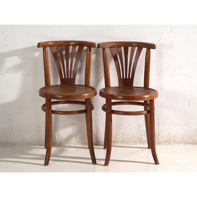 Brown Bentwood Chairs in the style of Thonet, Hungary, 1960, Set of 2 For Sale - Image 8 of 15