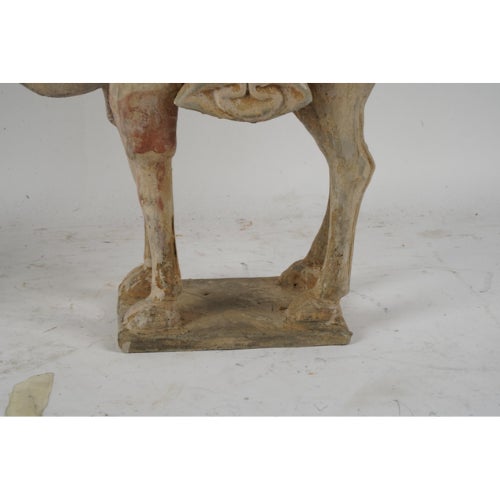 Late 19th Century Pair of Tang-Style Pottery Camels, 18” High For Sale - Image 5 of 7