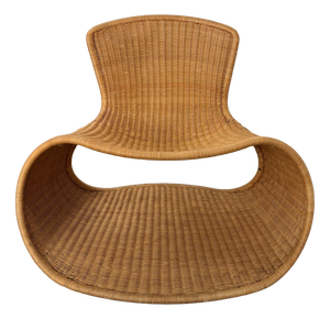 Sari Lounge Chair by Roderick Vos for Driade, Italy, 1999