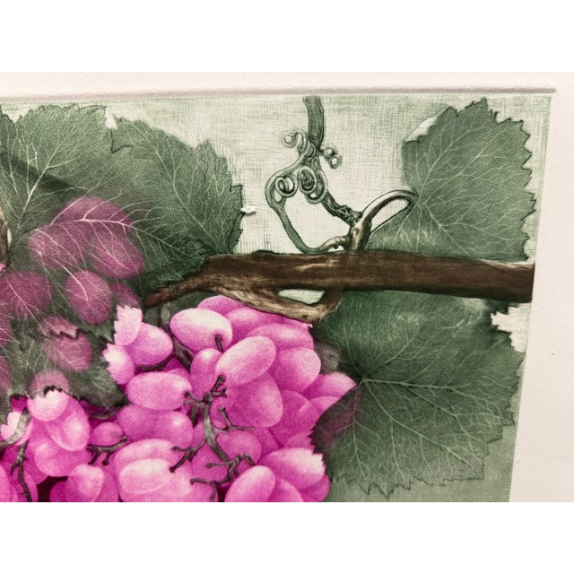 Paper G H Rothe Grapes II Art Original Mezzotint Etching, Mint Condition For Sale - Image 7 of 7
