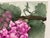 Paper G H Rothe Grapes II Art Original Mezzotint Etching, Mint Condition For Sale - Image 7 of 7