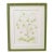 Original Graphite & Gouache Lime Botanical by Katie Binkley For Sale