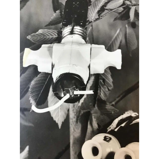 Mid-Century Modern 1950s Laurence Tilley Photograph Titled Light Lunch For Sale - Image 3 of 6