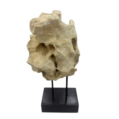 Tribal Indonesian Coral Stone On Teak Stand For Sale - Image 3 of 5