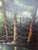 Wood Mid-Century Robert Wollinger Oil on Canvas Forest Landscape Painting For Sale - Image 7 of 12