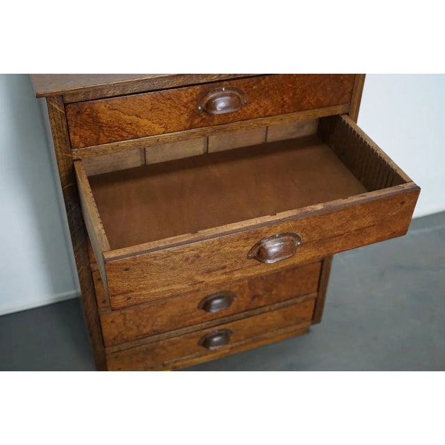 German Oak Apothecary Cabinet, Mid-20th Century For Sale - Image 15 of 17