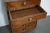 German Oak Apothecary Cabinet, Mid-20th Century For Sale - Image 15 of 17