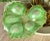Winifred Cole Madonnna Lily Pottery Flowers & Brass Brutalist Sculpture For Sale - Image 12 of 15