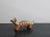 Paint Rif Mountains Animal Figurine For Sale - Image 7 of 9