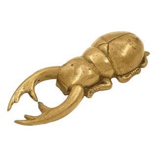 Bottle Opener - Atlas Beetle For Sale
