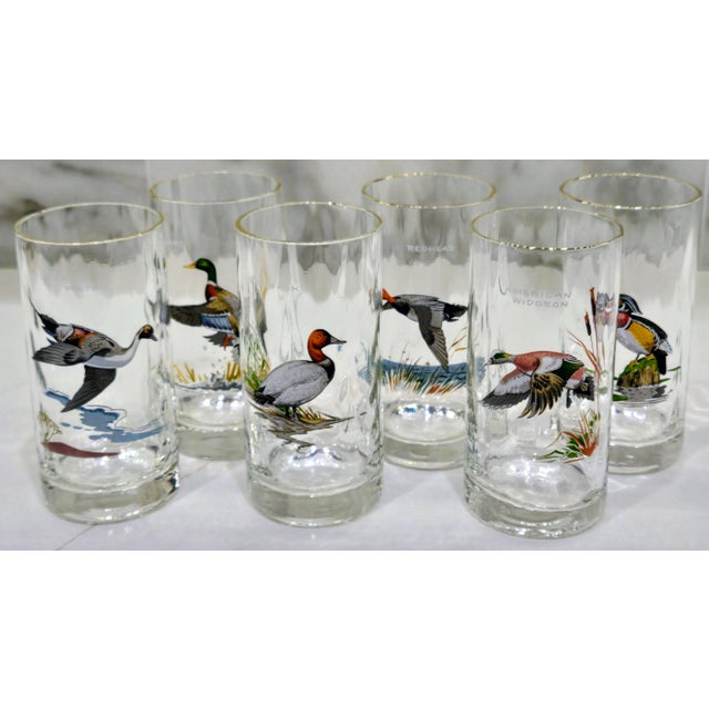 Stunning set of six vintage Ned Smith Waterfowl Series highball glasses featuring beautifully illustrated duck species in...