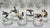 Stunning set of six vintage Ned Smith Waterfowl Series highball glasses featuring beautifully illustrated duck species in...