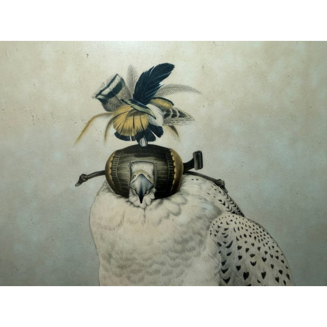 Mid 20th Century Framed Print of Greenland Falcon, Joseph Wolf, From "Traité De Fauconnerie" For Sale - Image 14 of 14