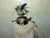 Mid 20th Century Framed Print of Greenland Falcon, Joseph Wolf, From "Traité De Fauconnerie" For Sale - Image 14 of 14