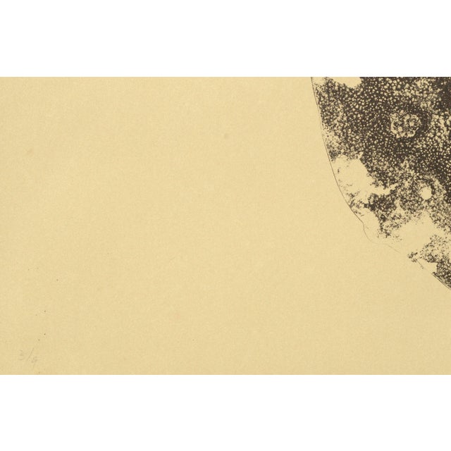 1980s "Mask 1" Collotype by Patricia A. Pearce For Sale - Image 5 of 8