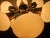 Mid-Century Sputnik Chandelier from Kamenicky Senov, 1970s For Sale - Image 13 of 16