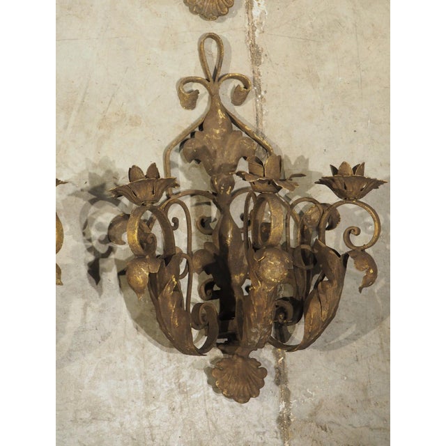 French Set of Four Vintage French 3-Arm Iron and Tole Sconces, Distressed Gilt Finish For Sale - Image 3 of 18