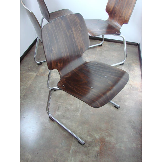 Wood Flötotto Chairs by Kusch+Co, 1960s, Set of 4 For Sale - Image 7 of 15
