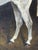 Grisette Grey Mare Equestrian Oil Painting Dated 1925 Painted From Life at Nantwich With Links to the Grosvenor Sporting Sphere and Cheshire Hunt For Sale - Image 14 of 18