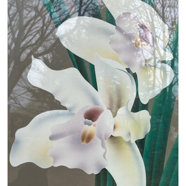 BOTANICAL ART 【import品】 71VKivy8YRL._AC_SY200_QL15_.jpg