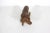 Vintage Carved Water Buffalo Teak Wood Bull Sculpture For Sale - Image 6 of 7