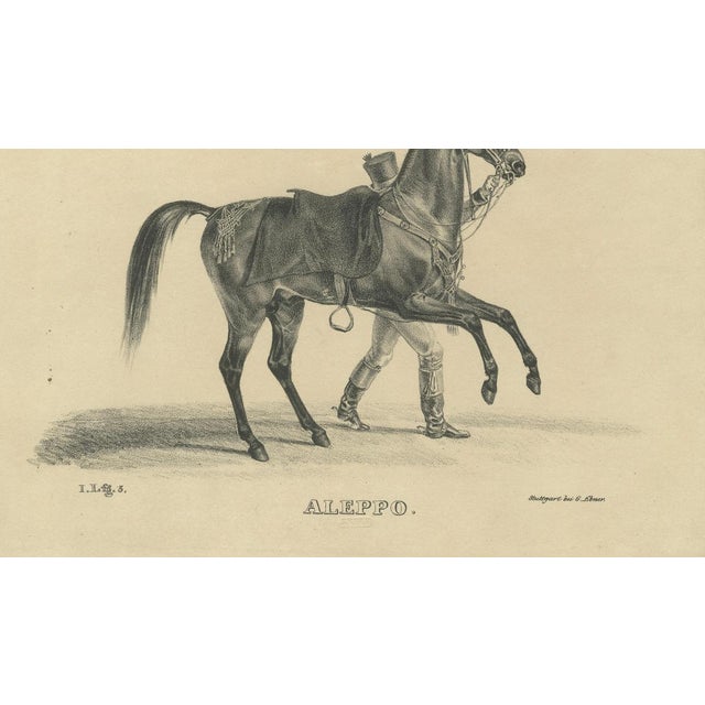Black August Jäger, Aleppo, 1846, Lithograph For Sale - Image 8 of 10