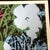 Green 1990s After Andy Warhol "Poppy Flowers" Lithograph For Sale - Image 8 of 11