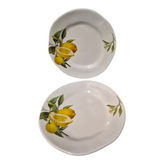 Vintage Opificio Etico Amalfi Coast Pattern Italian Pair Lemon Luncheon Plates For Sale