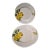 Vintage Opificio Etico Amalfi Coast Pattern Italian Pair Lemon Luncheon Plates For Sale