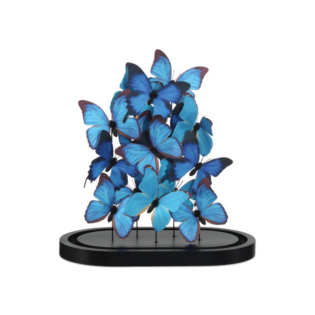 Currey & Company Rue de Bac Medium Butterflies For Sale In Atlanta - Image 6 of 10