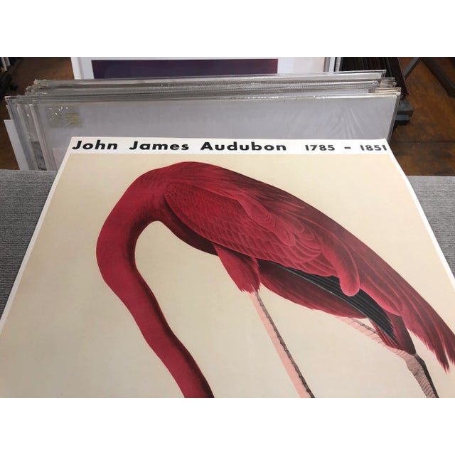 1960 John James Audubon 'American Flamingo' Lithograph Poster For Sale In New York - Image 6 of 9