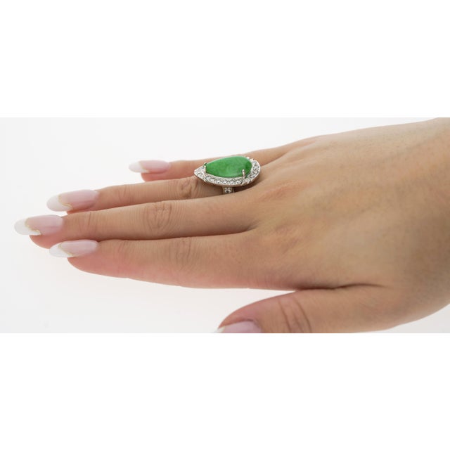 7.88 Carat Jade and Diamond Halo Ring in 18k White Gold Size 6 For Sale - Image 9 of 10