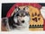 1990s 1991 Nancy Wood Taber "Pathfinder" Wolf Signed Numbered Native American Print For Sale - Image 5 of 5