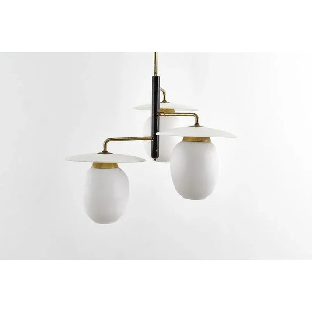 Mid-Century Modern Brass and Curved Glass Hanging Light, 1950s For Sale - Image 6 of 18