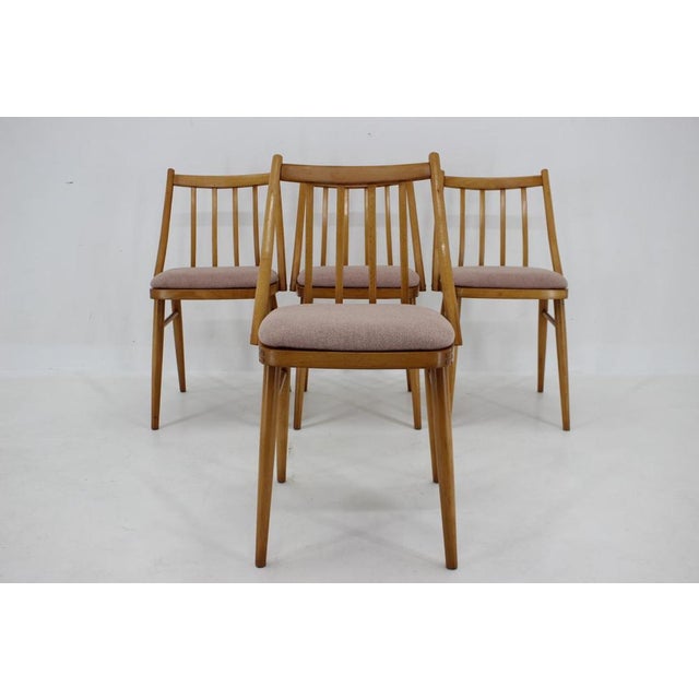 1960s Antonin Suman Beech Dining Chairs, 1970s, Set of 4 For Sale - Image 5 of 16