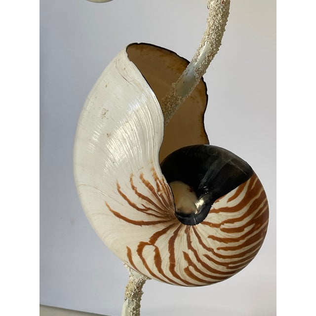 Contemporary Pair of Organic Costal Organic Modern Sea Shell Lamps, For Sale - Image 3 of 9
