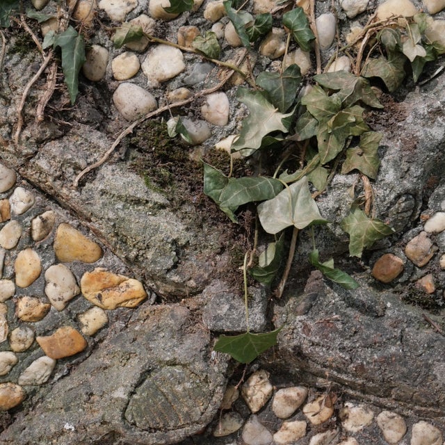 Stone Early 20th Century Cement Planter with Faux Wood Decoration and Pebbles, Rockery, France For Sale - Image 7 of 13