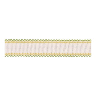 Sample - Schumacher Filippa Tape Indoor & Outdoor in Leaf For Sale