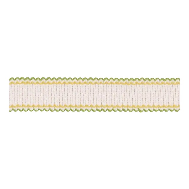 Sample - Schumacher Filippa Tape Indoor & Outdoor in Leaf For Sale