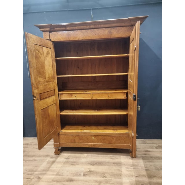 Wood Biedermeier Ash Burl Wardrobe, 1820 For Sale - Image 7 of 14