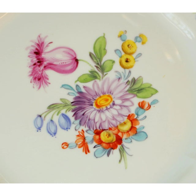 Western German Nyphenburg Salad Plate For Sale - Image 4 of 9