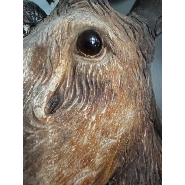 Brown Late 19th Century Wood Carved Stag Head Blakc Forest Deer Carving For Sale - Image 8 of 9